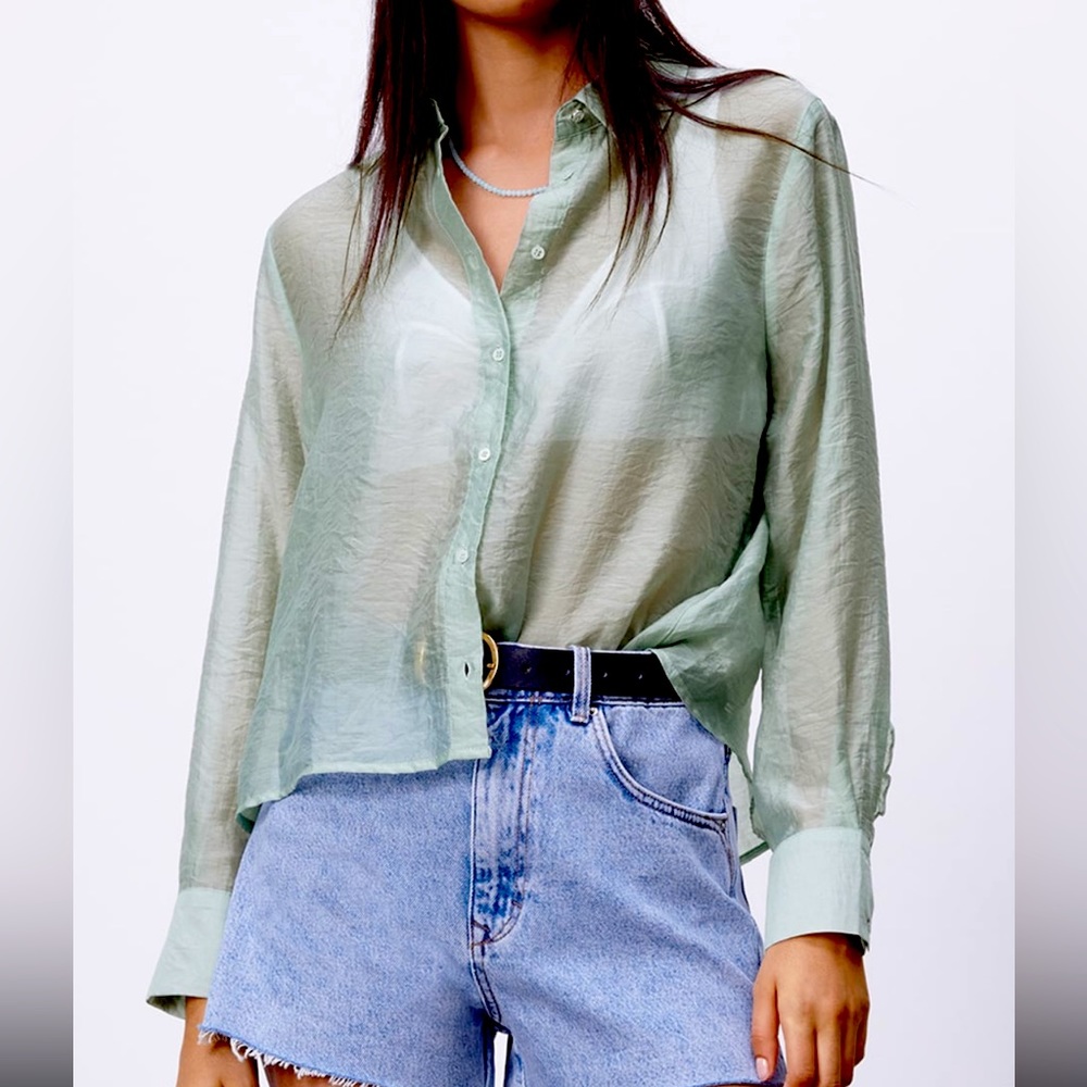 Sheer Blouse